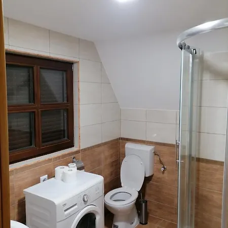 Vlajic 2015 *