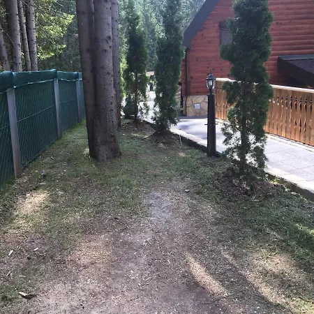 빌라 Vila Vlajic 페일