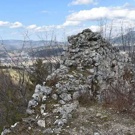 빌라 Vila Vlajic
